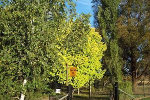Ophir Gold Bed & Breakfast - Accommodation in Bendigo 2
