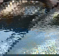 Town  Country Motel - Accommodation in Bendigo