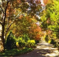 Chalets Lumineux - Accommodation in Bendigo