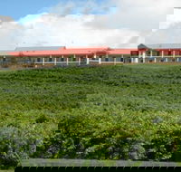 Turners Vineyard Motel and Function Centre - Accommodation in Bendigo