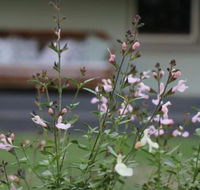 Serendipity on Allyn - Accommodation in Bendigo