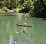 Figtree Getaway - Accommodation in Bendigo
