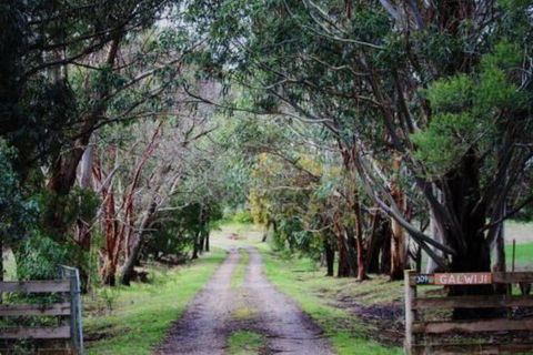 Galwiji Homestead - Accommodation in Bendigo 7