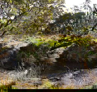 Green Gully House - Accommodation in Bendigo