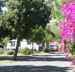 BIG 4 Hay - Accommodation in Bendigo