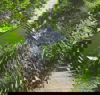 Montagues of Montville - Accommodation in Bendigo