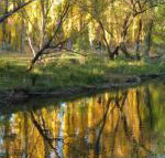 On The Banks - Accommodation in Bendigo