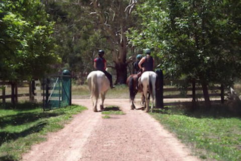 Halls On Falls Homestead - Accommodation in Bendigo 3