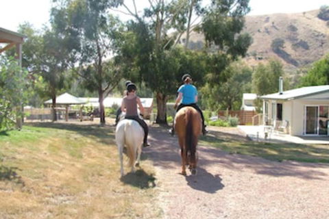 Halls On Falls Homestead - Accommodation in Bendigo 1