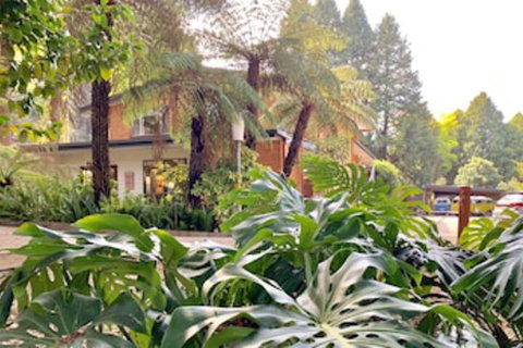 Warburton Motel - Accommodation in Bendigo 0