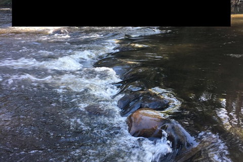 Warburton Motel - Accommodation in Bendigo 6