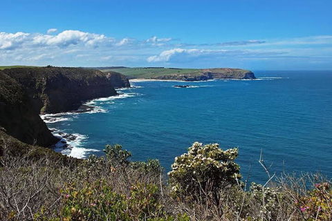 Woodland By The Bay & Puddleduck Cottage - Accommodation in Bendigo 5