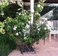 Ellesmere House - Accommodation in Bendigo