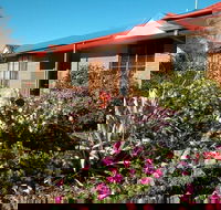 Ambassador Motor Inn Ballarat - Accommodation in Bendigo