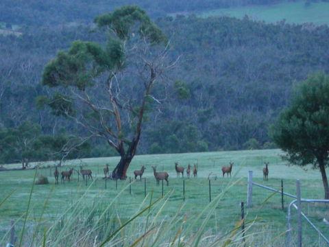Hawksview At Mafeking - Accommodation in Bendigo 3