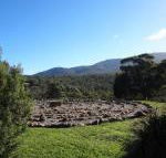 Hawksview at Mafeking - Accommodation in Bendigo
