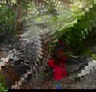 12 Apostles Cottages - Accommodation in Bendigo