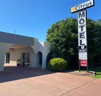 Citrus Motel - Accommodation in Bendigo