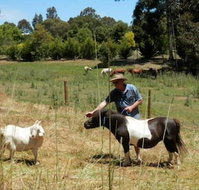 Country Cottages of Bridgetown - Accommodation in Bendigo