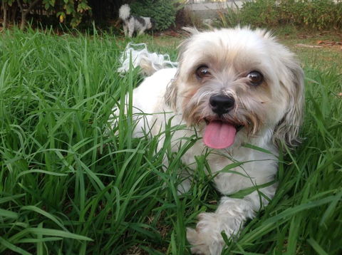 A Country Barn Retreat - Accommodation in Bendigo 3