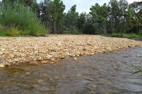 Brookfield Guesthouse - Accommodation in Bendigo 7