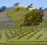 Blue House at Mountainside Wines - Accommodation in Bendigo