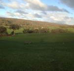 Mancuso Country Cottage Retreat - Accommodation in Bendigo