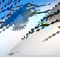 Tenterfield Cottage Holiday House - Accommodation in Bendigo