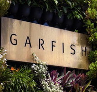Garfish - Accommodation in Bendigo
