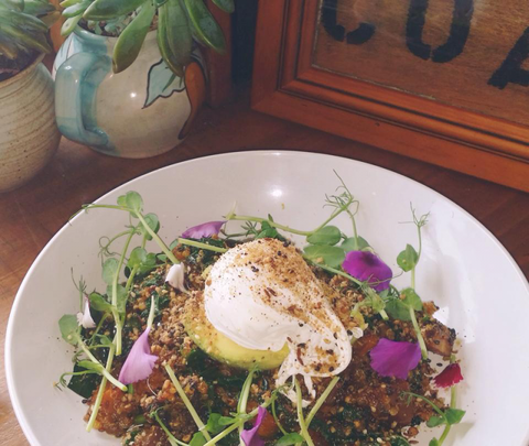 The Shak Organic Cafe & Wine Bar - Accommodation in Bendigo 0