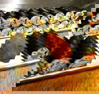 Freewave Sushi  Burgers - Accommodation in Bendigo