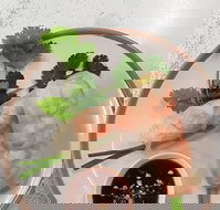 Golden Tree Cafe - Accommodation in Bendigo