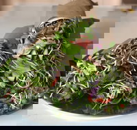 Santos Organics Mullumbimby - Accommodation in Bendigo