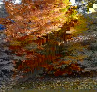 Stella Kitchen Chinese Take Away - Accommodation in Bendigo