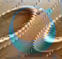 The Branches Coffee Roasters - Accommodation in Bendigo