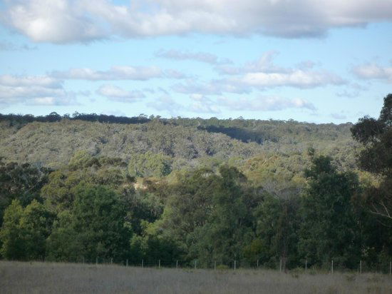 Canyonleigh NSW Accommodation in Bendigo