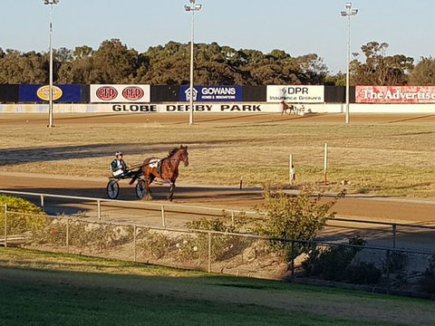 Paceway - Accommodation in Bendigo 0