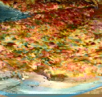 Al Pesto - Accommodation in Bendigo