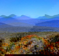 Arcadia Wines - Accommodation in Bendigo