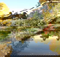 Cradle Coast Olives - Accommodation in Bendigo