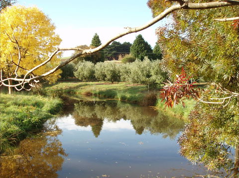 Cradle Coast Olives - Accommodation in Bendigo 0