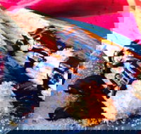 Donut King - Frankston - Accommodation in Bendigo