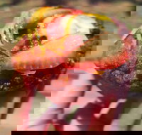 Harvest Foodstore - Accommodation in Bendigo