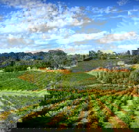 Kellybrook Winery and Kelly Brothers Cider - Accommodation in Bendigo
