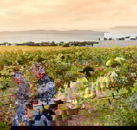 Boston Bay Wines - Accommodation in Bendigo