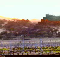 Howling Wolves Wines