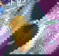 Sharks Tail Fish  Chippery - Accommodation in Bendigo