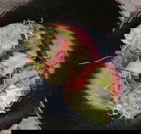 Crowded House - Accommodation in Bendigo