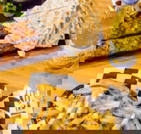 Little Bad Wolf - Accommodation in Bendigo