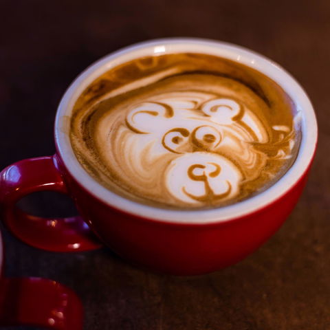 Three Bears Kitchen - Accommodation in Bendigo 0